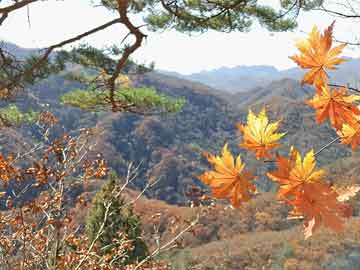 安徽景观雕塑定制厂家排名_安徽有名的雕塑